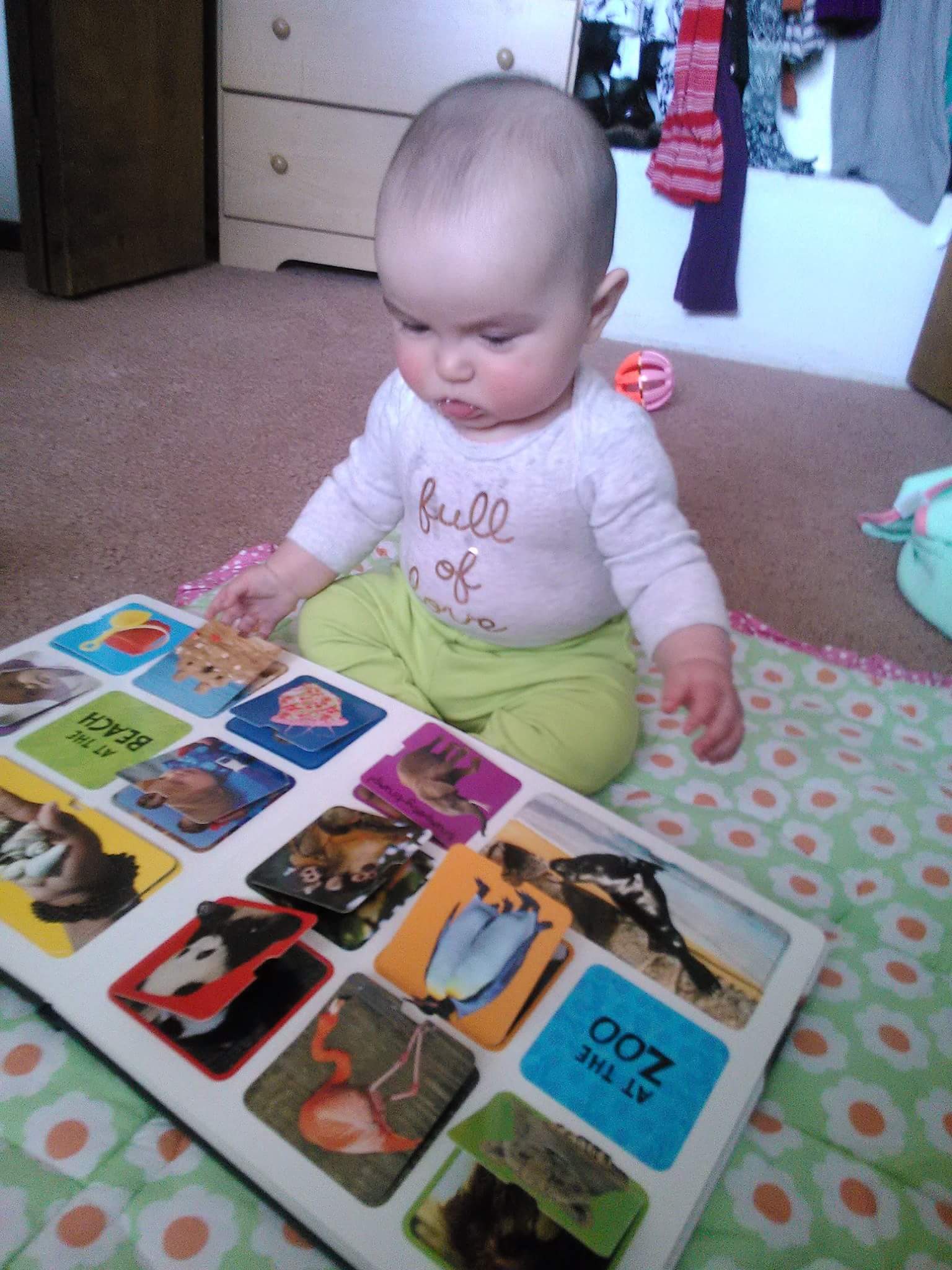 baby sitting on floor looking at book full of colorful pictures