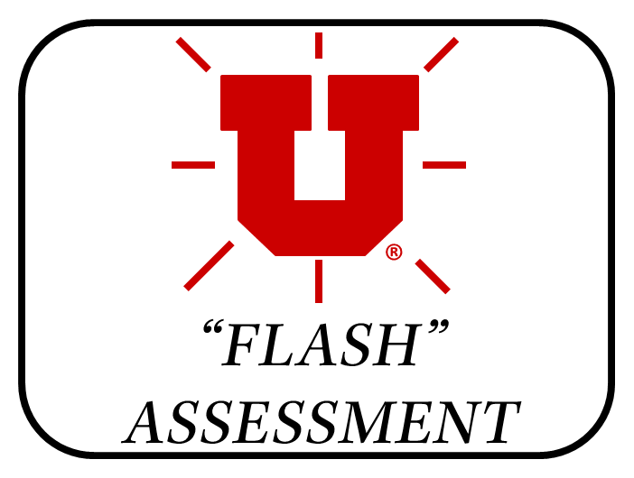 Flash Assessment App